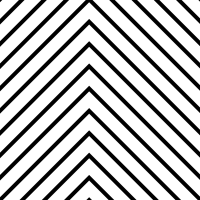 XY in 81 | V=248-02-36-02245 XY in 81 | V=248-02-36-02245